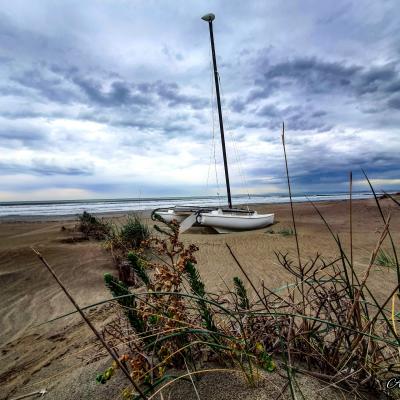 Plage du Grau-du-Roi