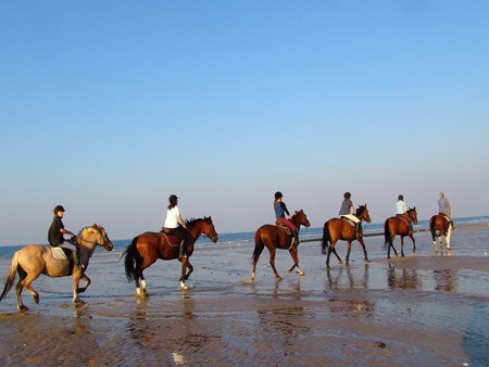 Balade a la plage