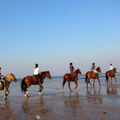 Promenade à cheval